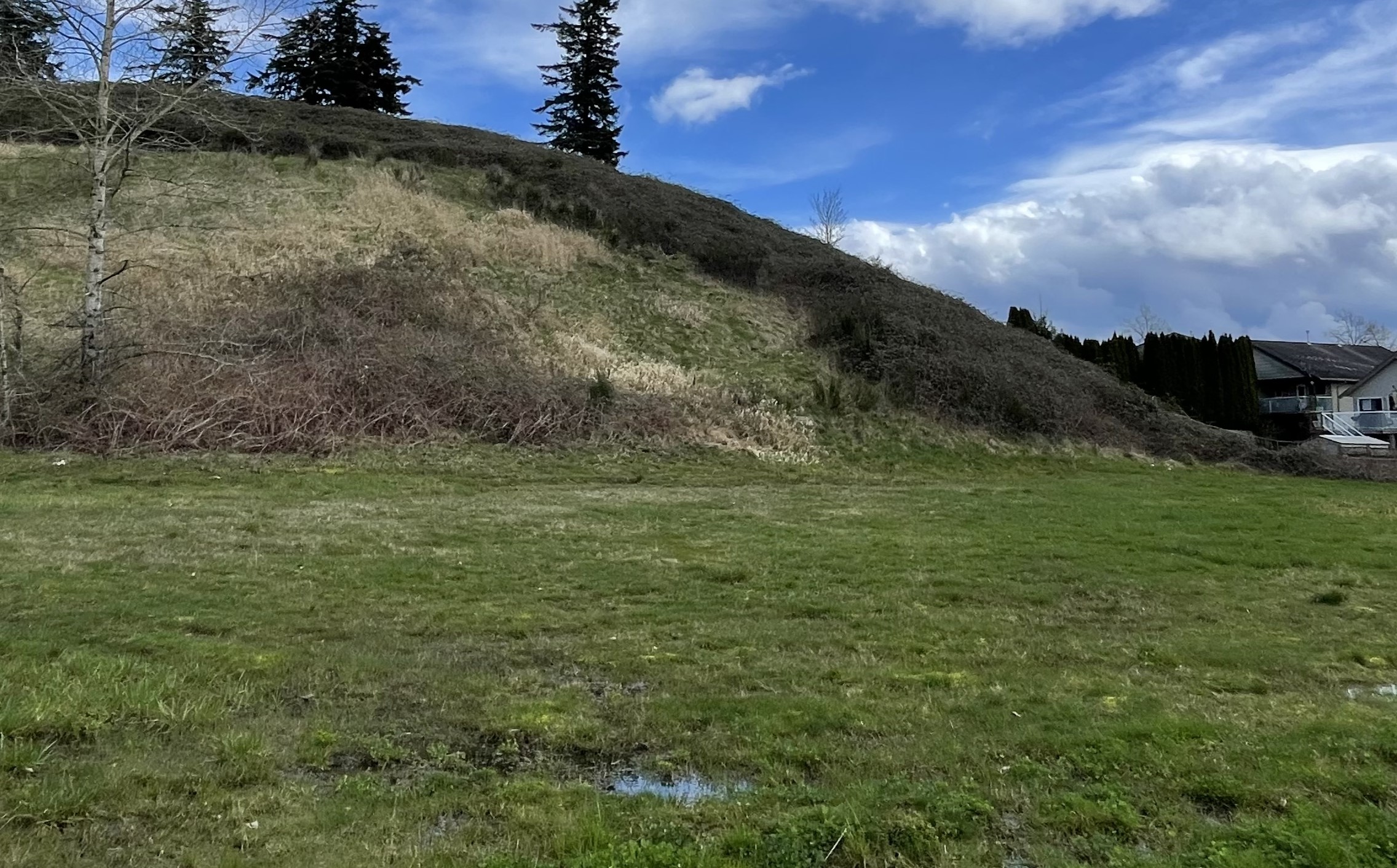Park Site