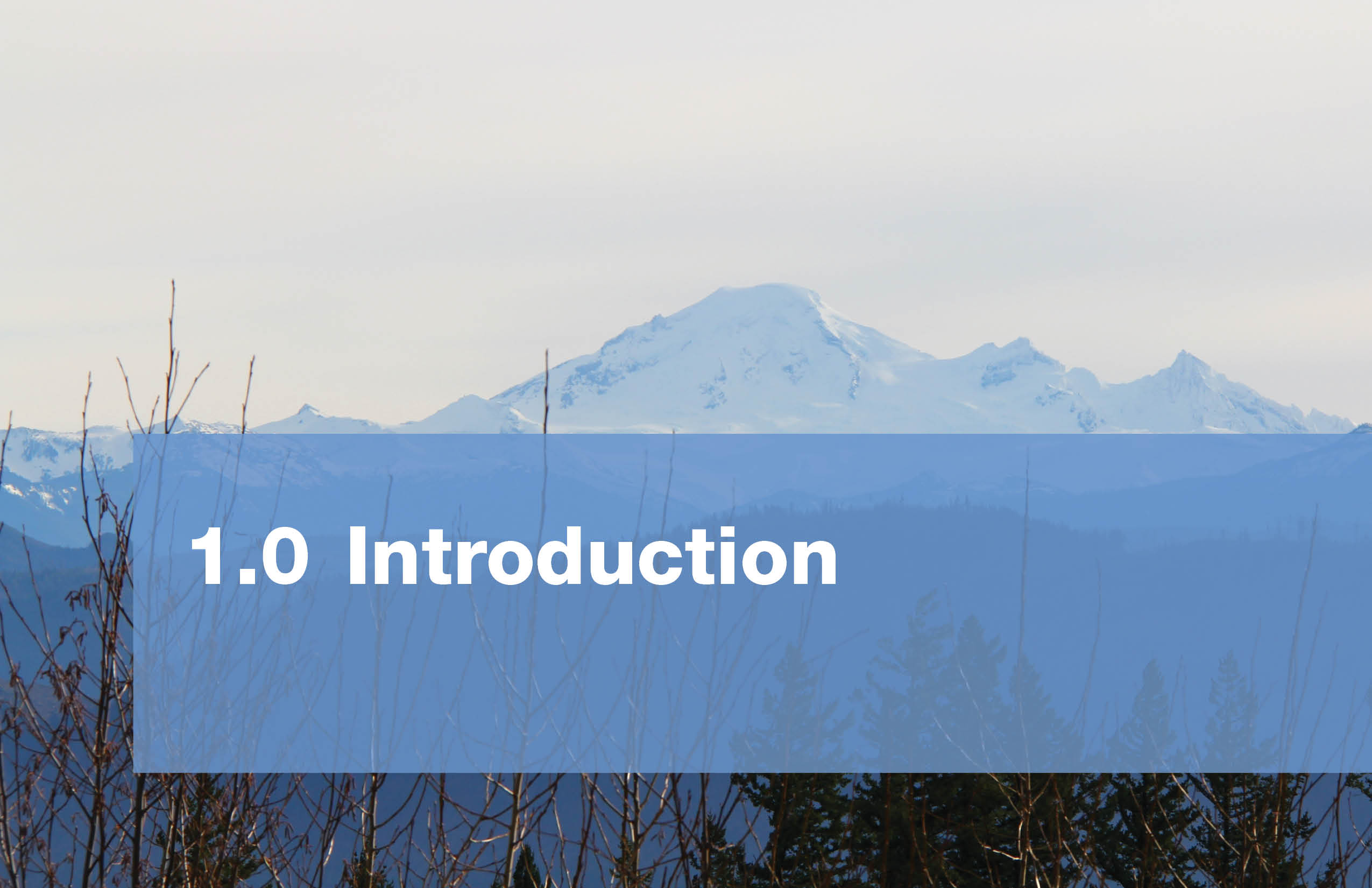 1.0 Introduction
