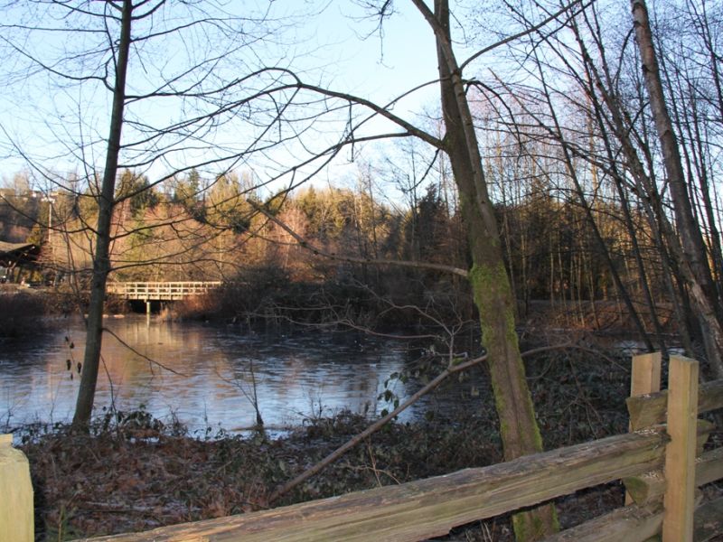 Fishtrap Creek_2