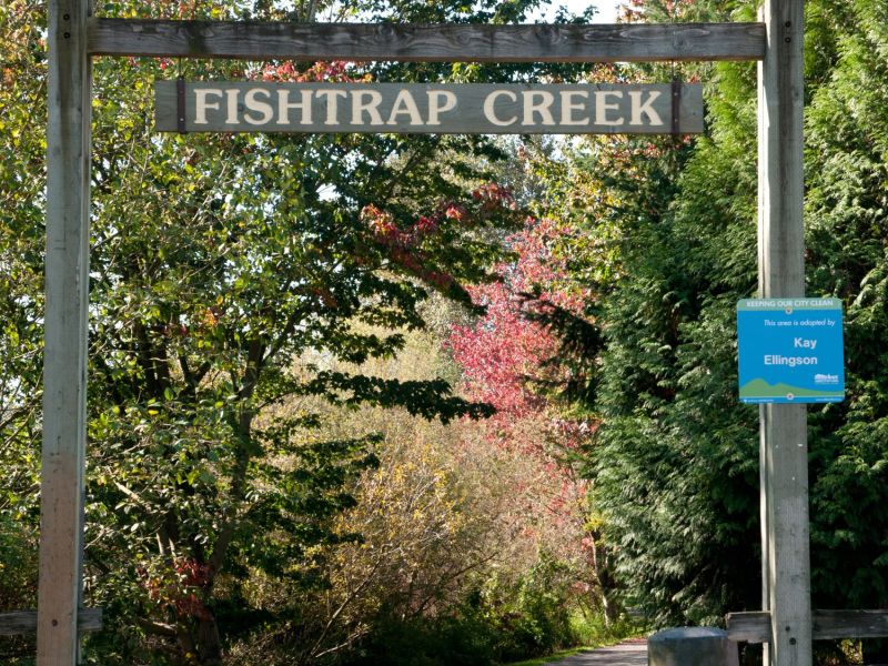 Fishtrap-6493