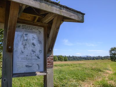 Willband Creek